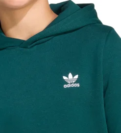 adidas Originals Hættetrøjer*adidas Originale Hættetrøje - Aurora Ivy