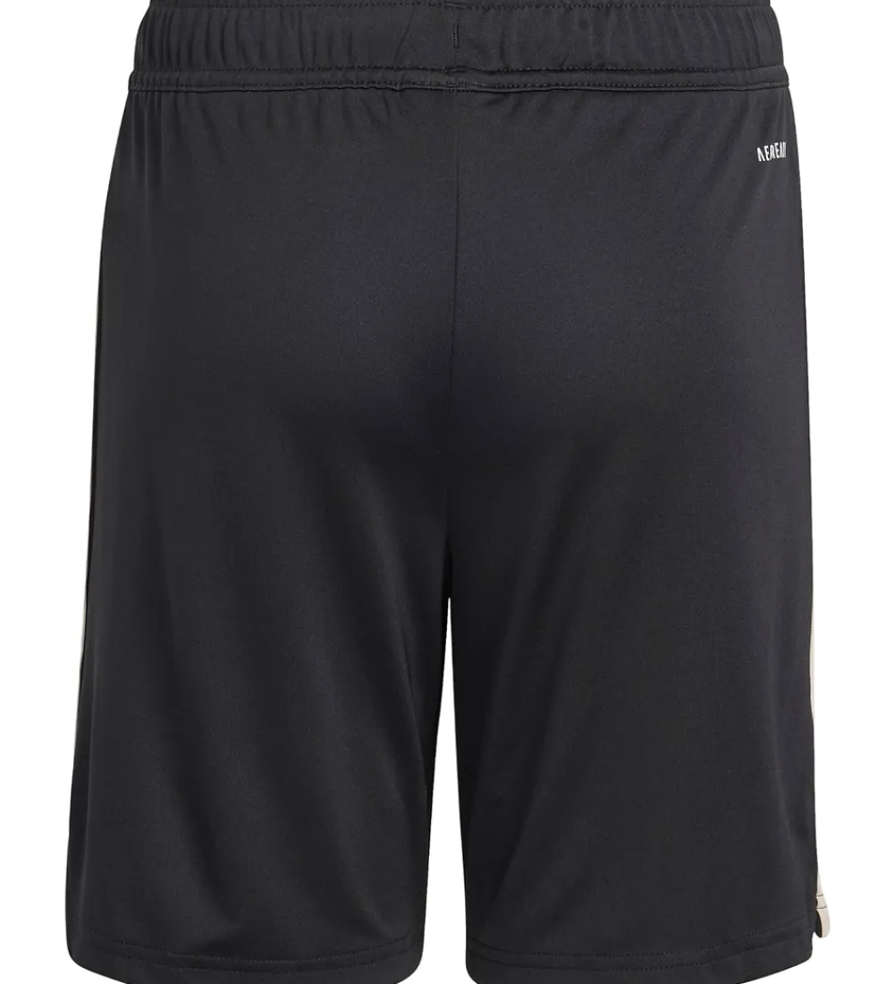 Fodboldshorts|Fodbold-adidas Originals Shorts - FC Bayern München 25/26 3. Sæt - Sort