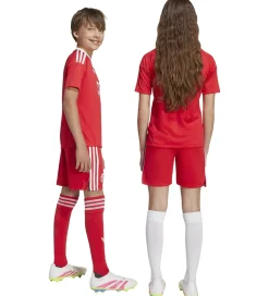 adidas Originals Fodboldshorts|Fodbold*Shorts - FC Bayern München 25/26 - Pure Ruby