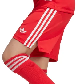 adidas Originals Fodboldshorts|Fodbold*Shorts - FC Bayern München 25/26 - Pure Ruby