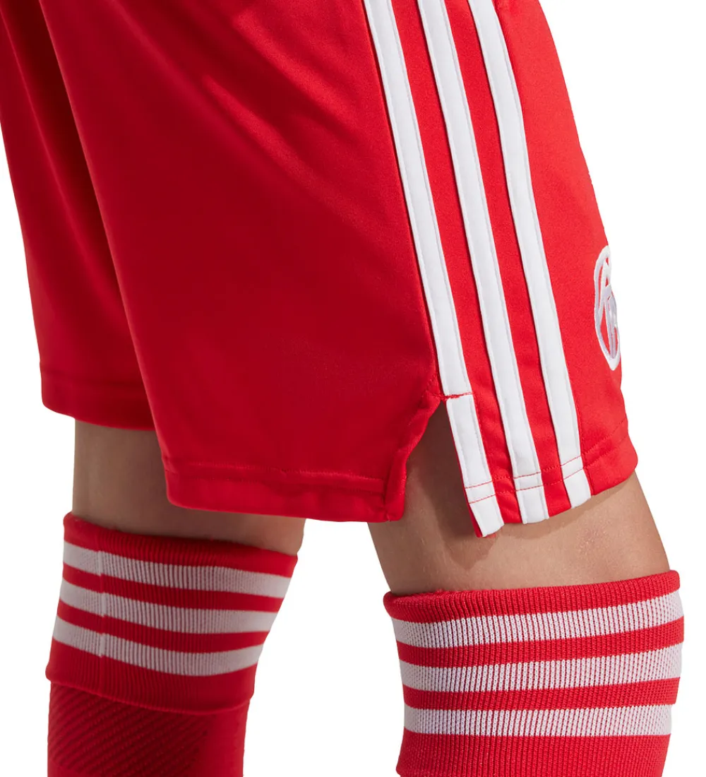 adidas Originals Fodboldshorts|Fodbold*Shorts - FC Bayern München 25/26 - Pure Ruby