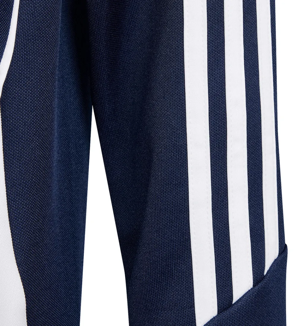 adidas Performance T-Shirts Og Toppe*Bluse - Tiro24 TRTOPY - Blå/Hvid