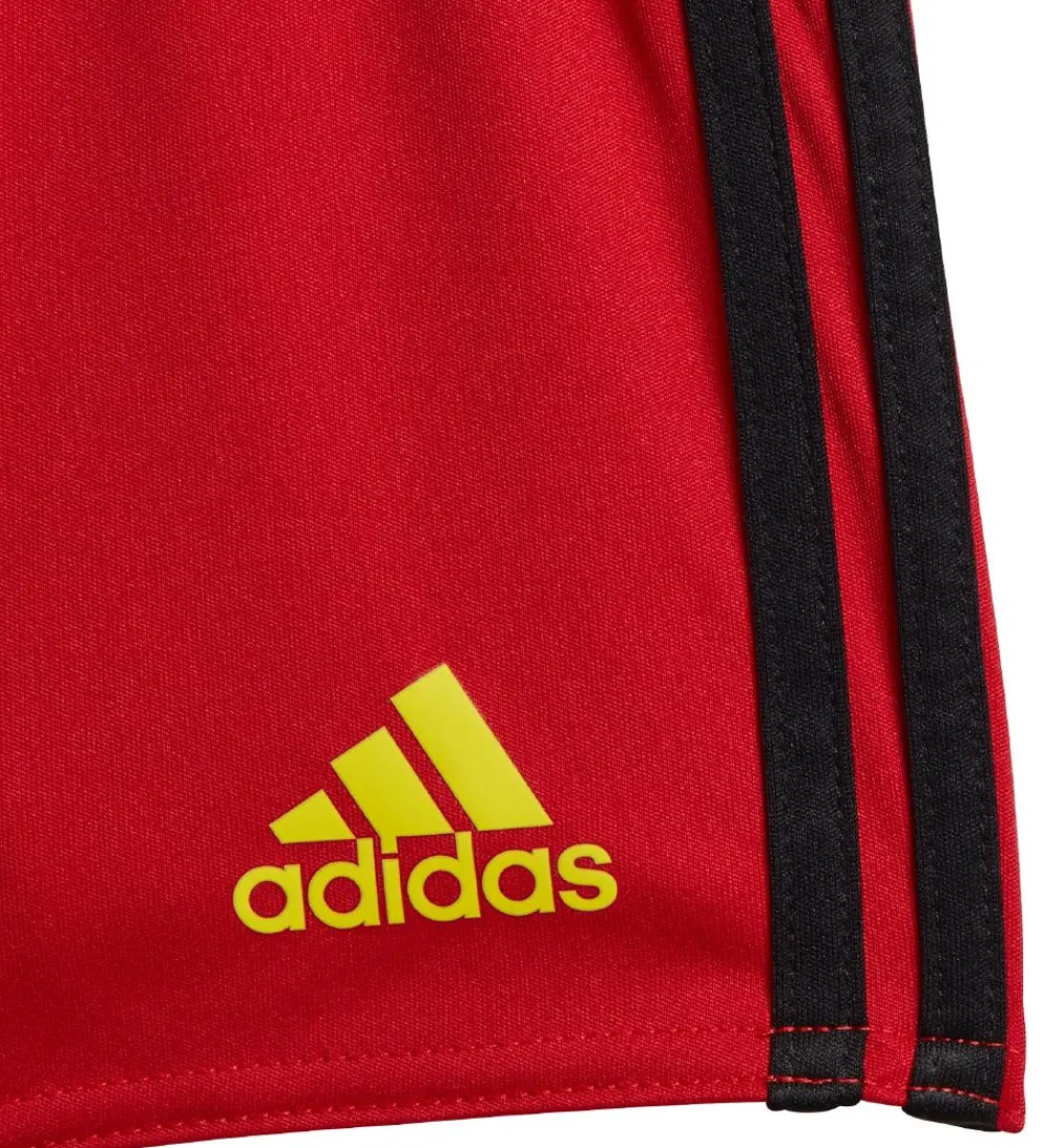 adidas Performance Fodboldtrøjer|Fodboldshorts*Fodboldsæt - Belgien - Rød/Sort
