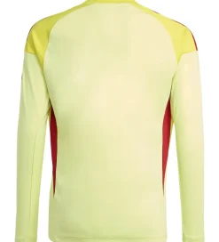 Fodboldtrøjer-adidas Performance Fodboldtrøje - AFC H GK - PULYEL/TEPORE