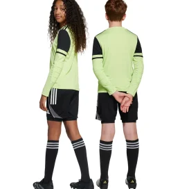 adidas Performance Fodboldshorts*Målmandsshorts - SQUA25 GK PST Y - Sort