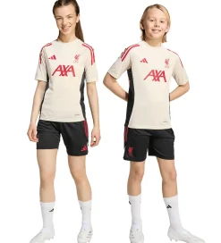 adidas Performance Fodboldshorts|Fodbold*Shorts - Liverpool - Sort