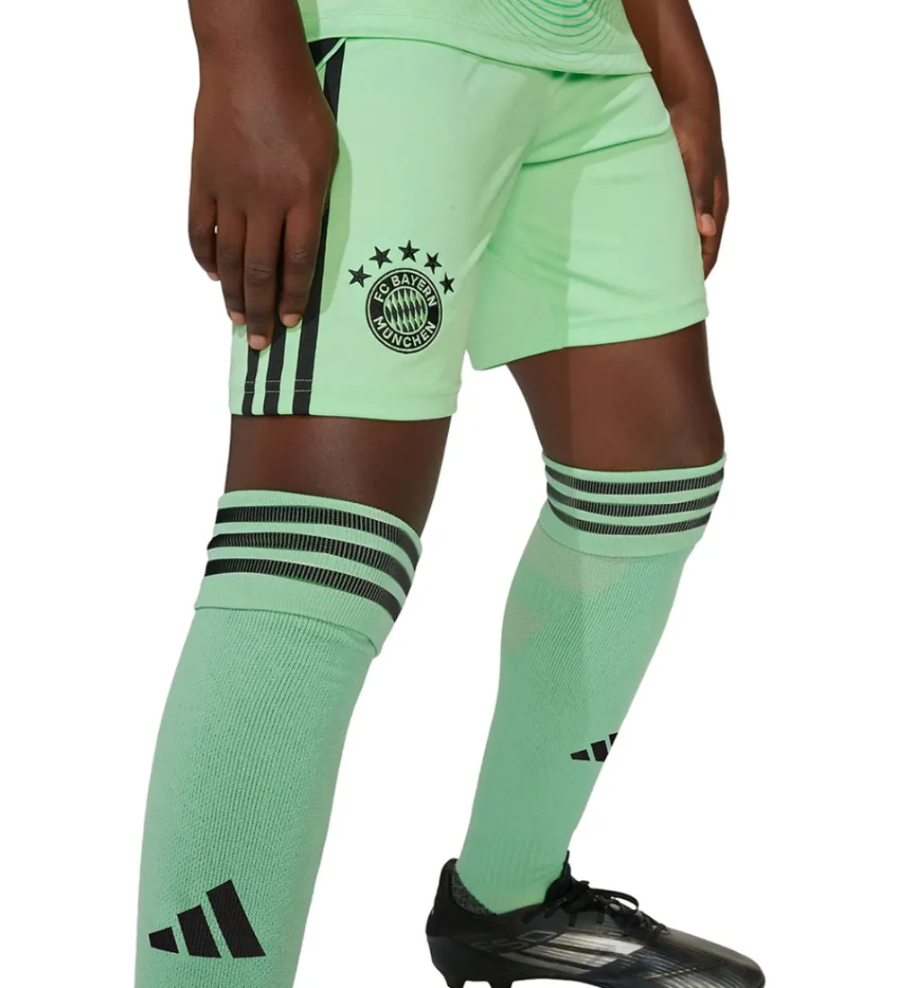 adidas Performance Fodboldshorts|Fodbold*Shorts - FC bayern München 25/26 Målmand - Gl