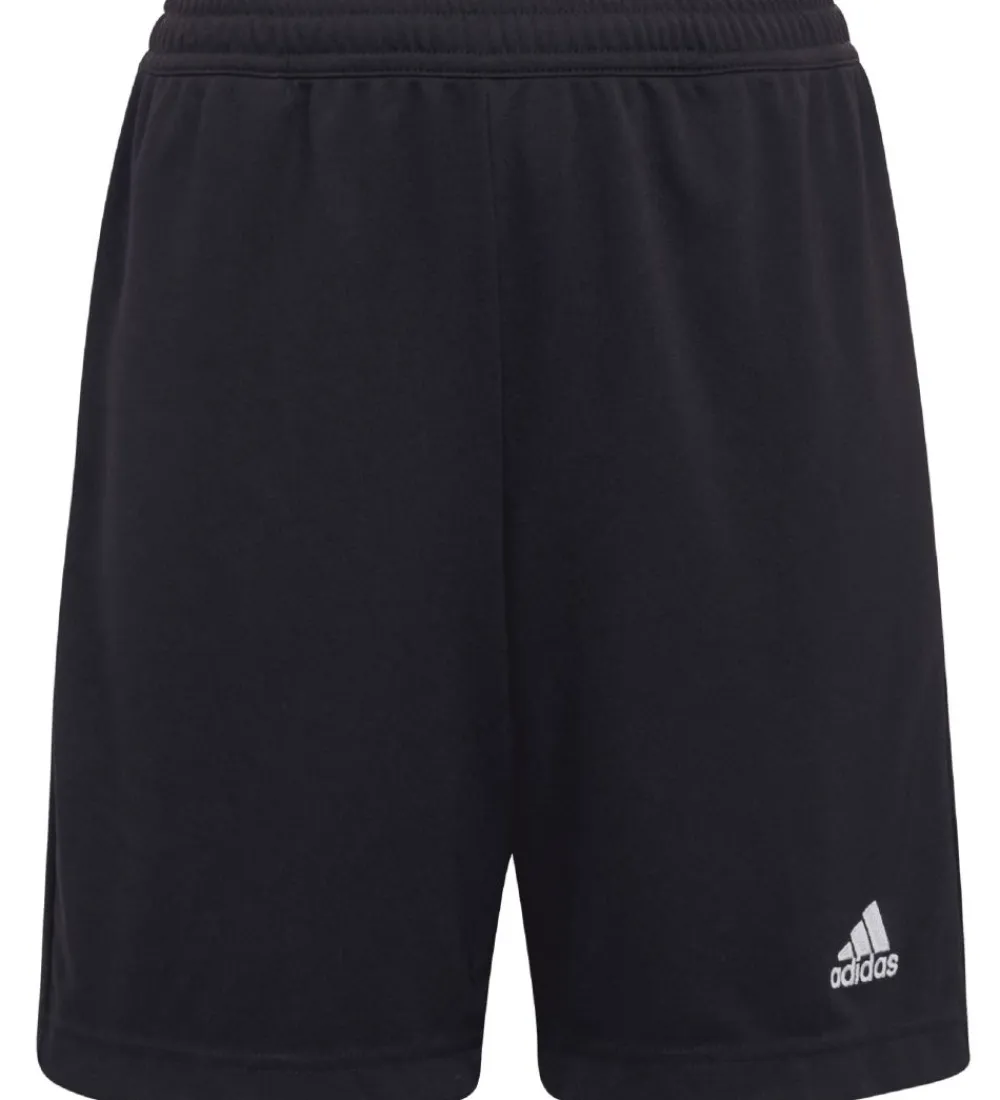 adidas Performance Sportsshorts|Fodboldshorts*Shorts - Entrada 22 - Sort