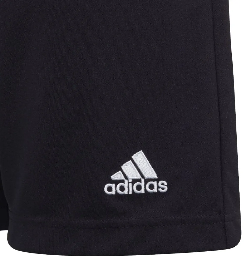 adidas Performance Sportsshorts|Fodboldshorts*Shorts - Entrada 22 - Sort
