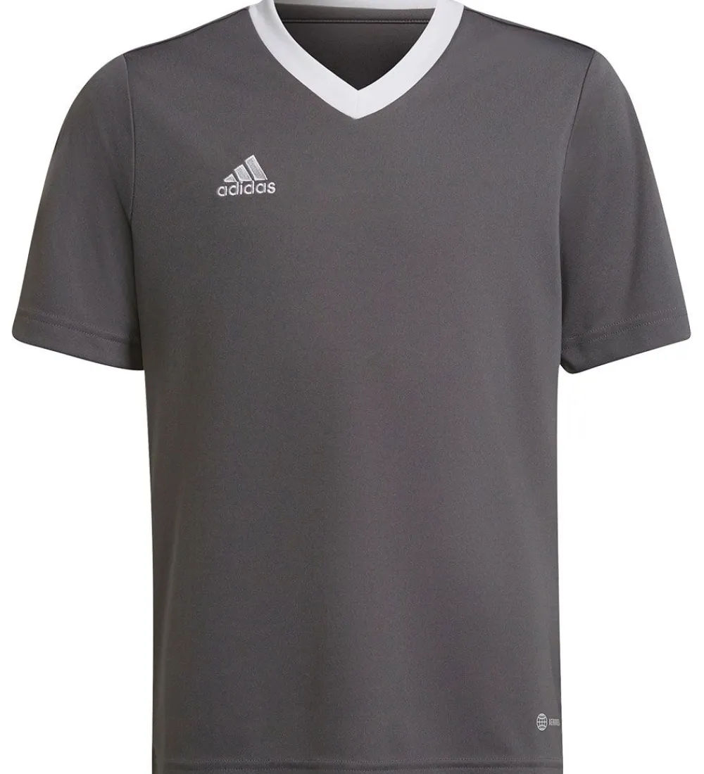 adidas Performance T-Shirts Og Toppe*T-Shirt - ENT22 JSYY - Grå/Hvid
