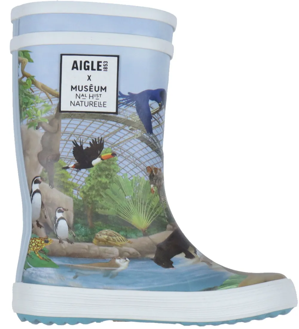 Gummistøvler-Aigle Gummistøvler - Ai Lolly Pop - Play3 - Zoo