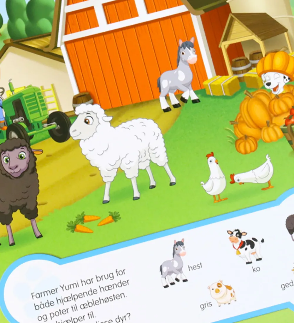 Alvilda Kreativ Leg|Bøger*Bog - Paw Patrol - Kig Og Find - DA