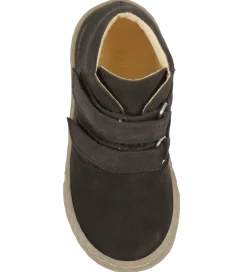Angulus Begyndersko*Begyndersko - Dark Brown