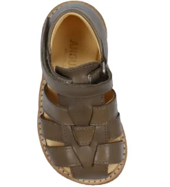 Begyndersko-Angulus Sandaler - Begynder - Taupe