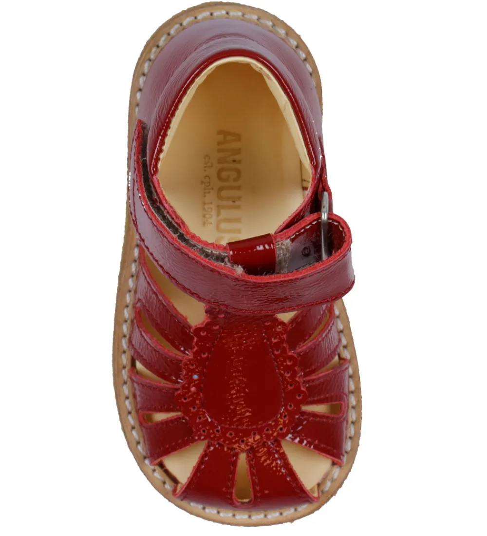 Begyndersko-Angulus Sandaler - Begynder - Dark Red
