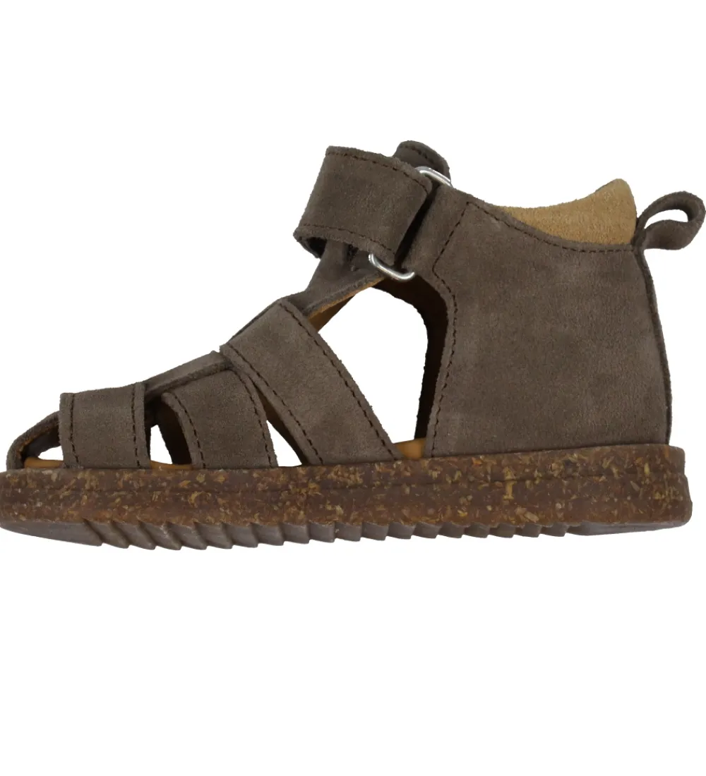 Begyndersko-Angulus Sandaler - Begynder - dark Taupe/Camel