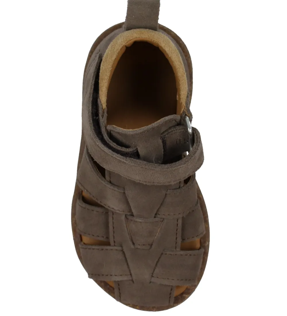 Begyndersko-Angulus Sandaler - Begynder - dark Taupe/Camel