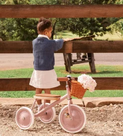 Banwood Løbecykler*Trehjulet Cykel - Trike - 3-6 År - Dustypink