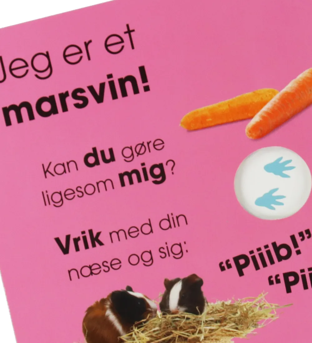 Bøger-Forlaget Tukan Billedbog - Hvem Er Jeg? - Kæledyr - DA