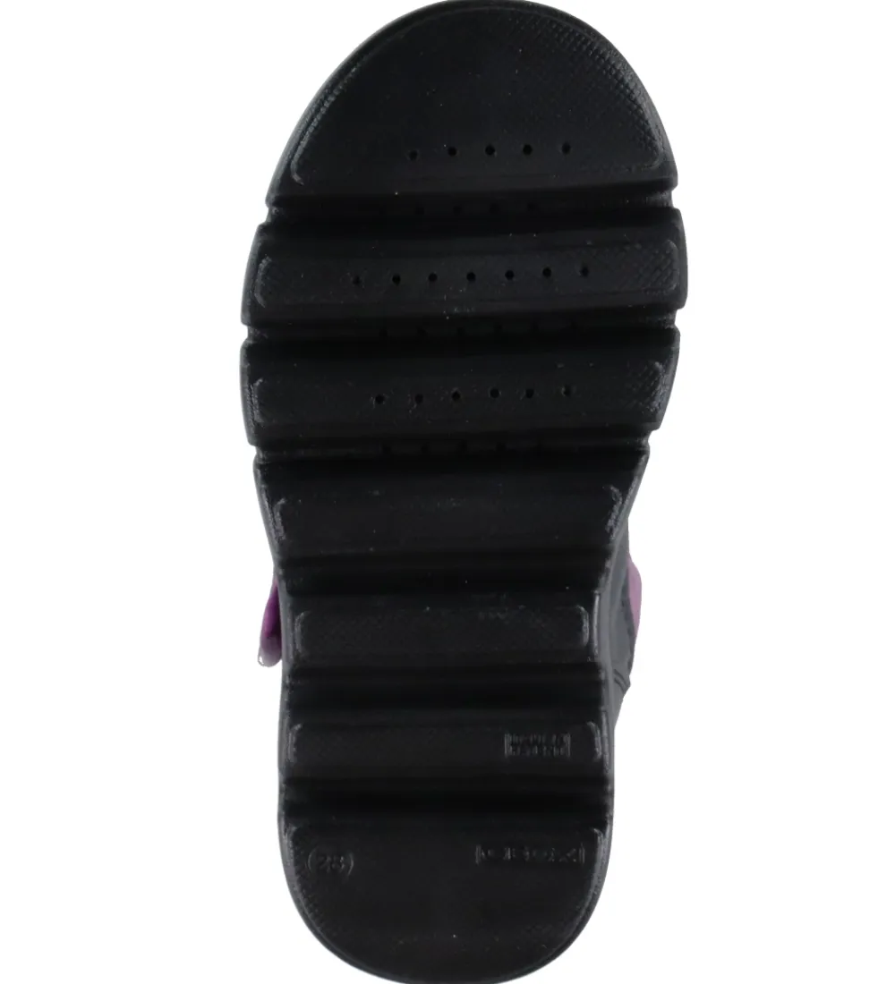 Vinterstøvler-Geox Vinterstøvler - Tex - J Willaboom B ABX - Purple/Black