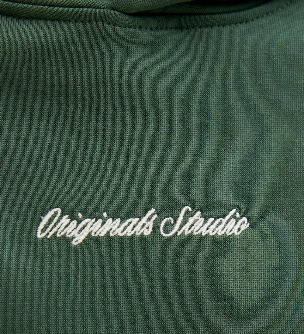 Hættetrøjer-Jack & Jones Hættetrøje - Sweat - JorNorrebro - Sycamore
