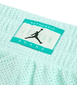 Jordan Sportsshorts*Shorts - Dri-Fit - Igloo m. Print