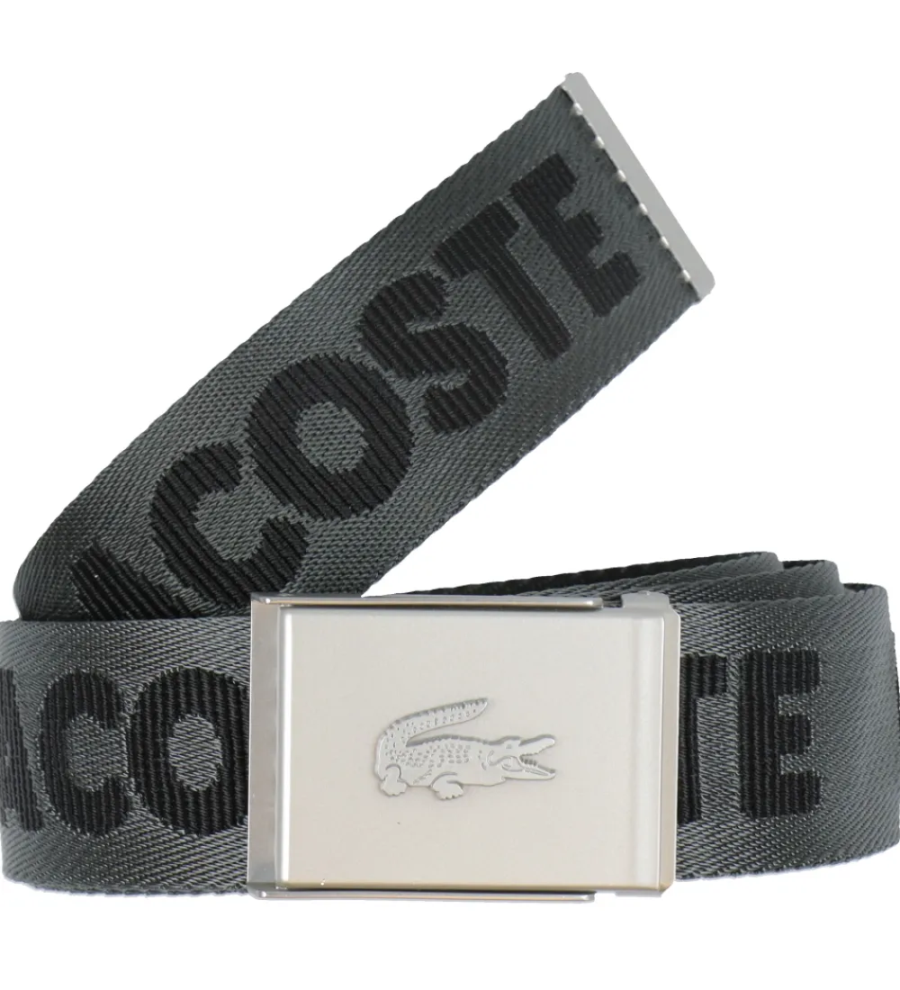Lacoste Bælter*Bælte - Aubier Noir