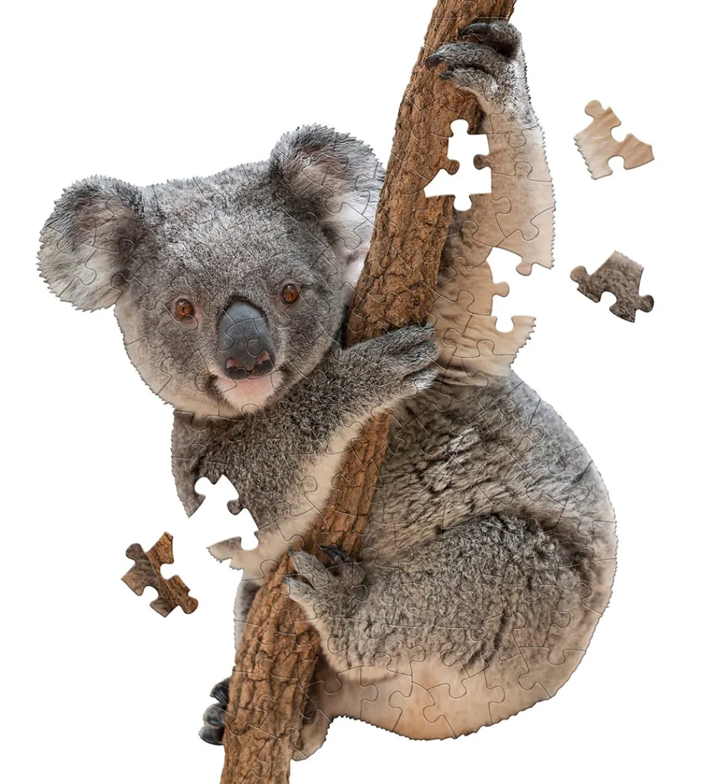 Puslespil-Madd Capp Puzzles Puslespil - I Am LiL' Koala - 100 Brikker