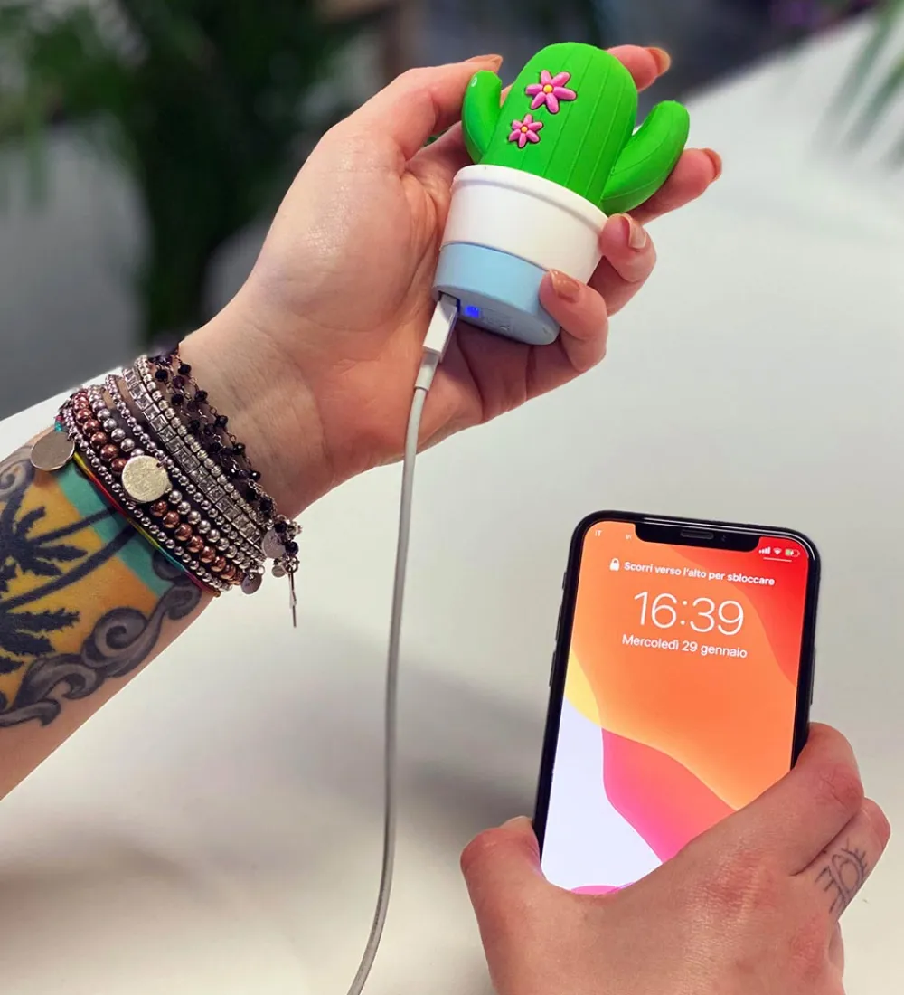 Powerbanks-Moji Power Powerbank - Cactus - 2600mAh