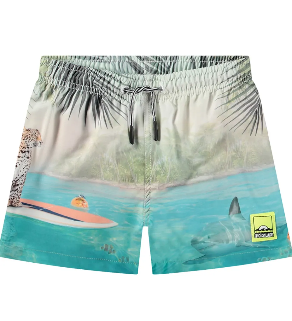 Badetøj-Molo Badeshorts - UV50+ - Niko - Leo On Surf