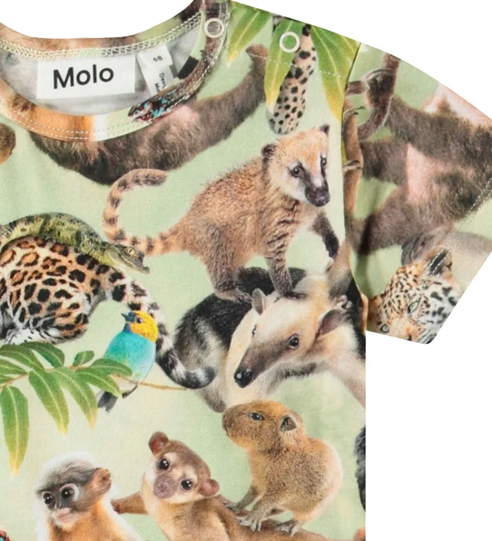 Molo Sommerdragter*Sommerdragt - Finn - Jungle Cubs