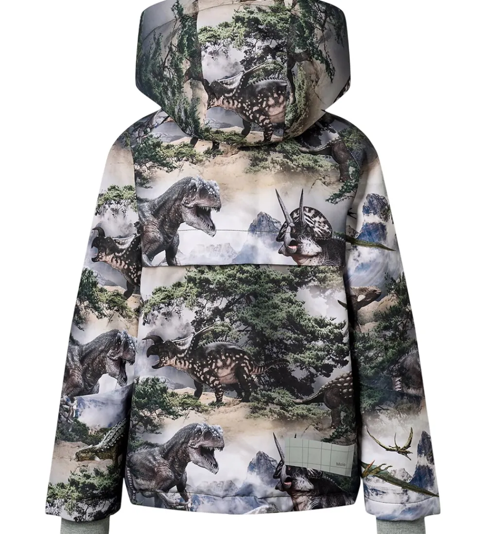 Molo Vinterjakker*Vinterjakke - Castor - Rocky Dino