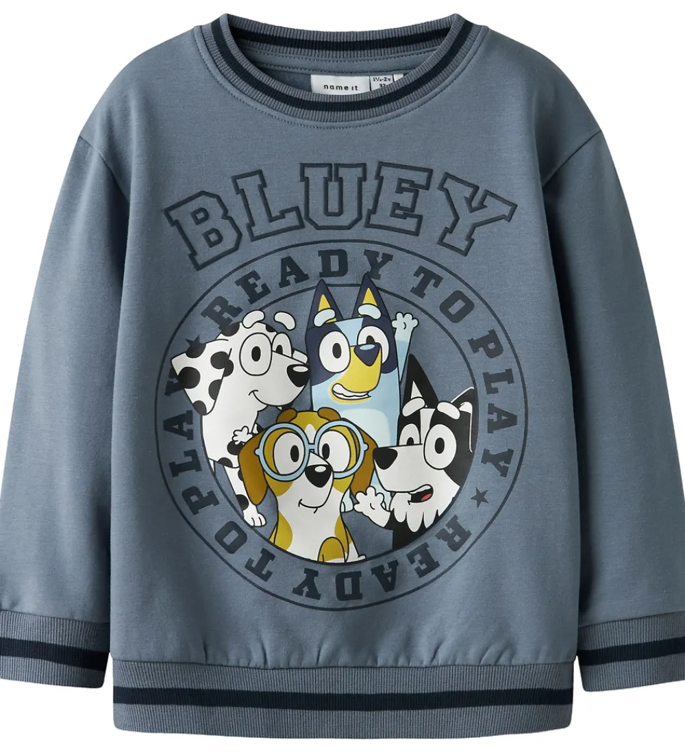 Name It Sweatshirts*Sweatshirt - NmmNimbu - Bluey - Flint Stone
