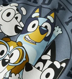 Name It Sweatshirts*Sweatshirt - NmmNimbu - Bluey - Flint Stone