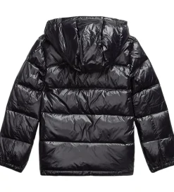 Polo Ralph Lauren Overgangsjakker|Dunjakker Og Dynejakker*Dunjakke - Polo Black