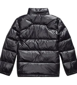 Polo Ralph Lauren Overgangsjakker|Dunjakker Og Dynejakker*Dunjakke - Polo Black