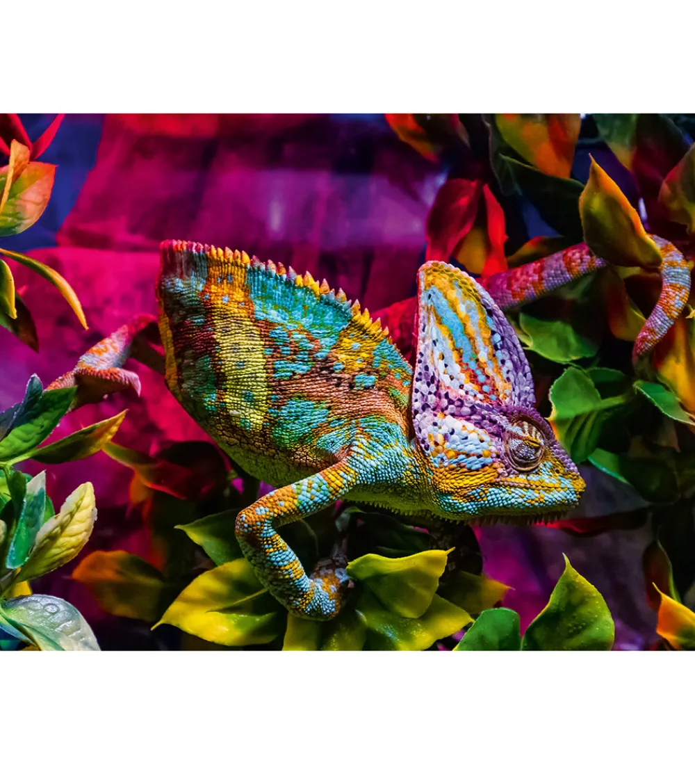 Ravensburger Puslespil*Puslespil - 500 Brikker - Chameleon
