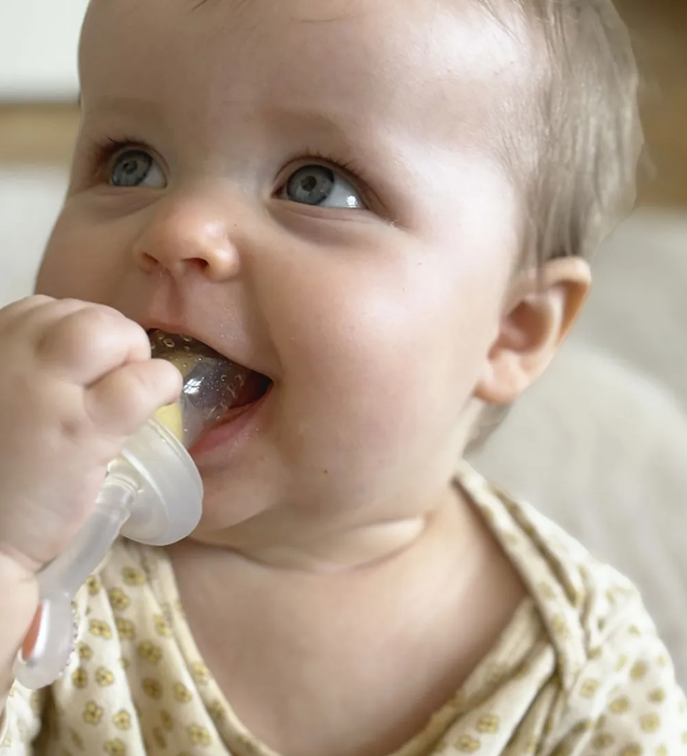 Tiny Tot Sutteflasker|Amning*Food Feeder m. Mini Fryseform - Rose