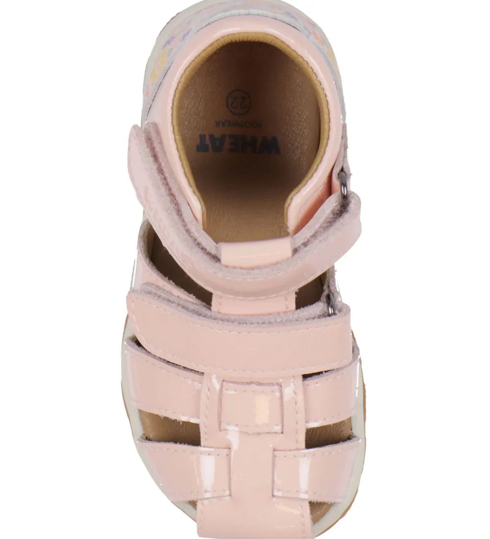 Wheat Sandaler*Sandaler - Frei - Rose Ballet